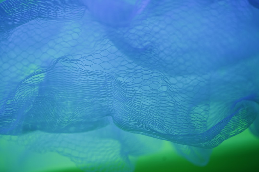 Blue net for How to Optimize Your Google Business Profile for Local Search in 2026