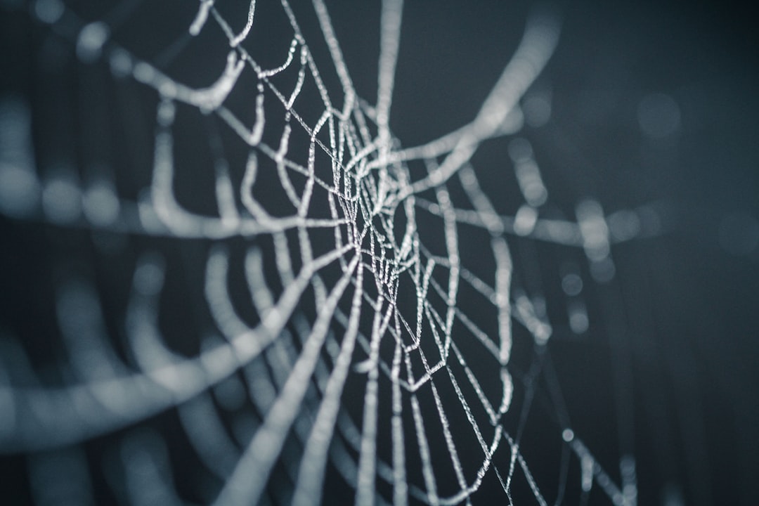 Selective focus photography of spiderweb for How to Use Figma's Auto Layout Feature to Speed Up Your Design-to-Development Handoff