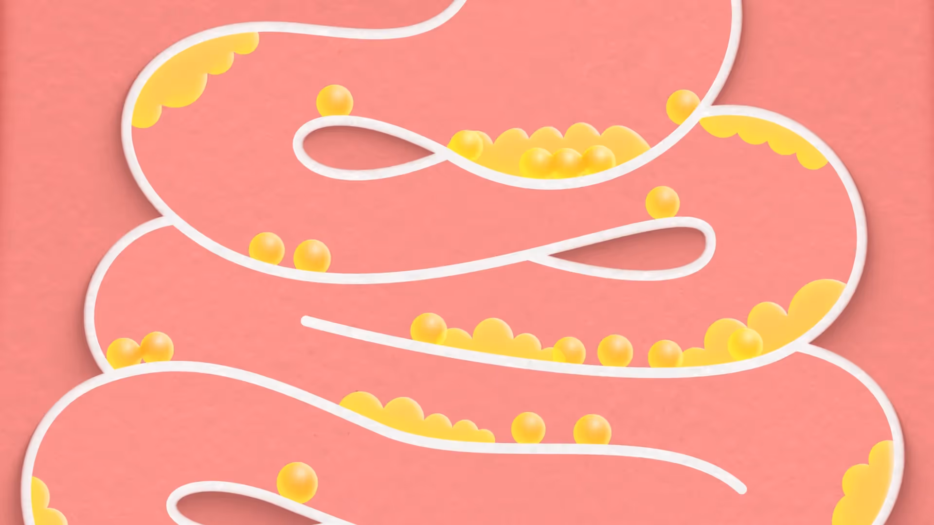 2D-Illustration eines Darms mit gelben Fetttröpfchen, die sich an den Wänden und entlang des Verdauungstrakts ansammeln.