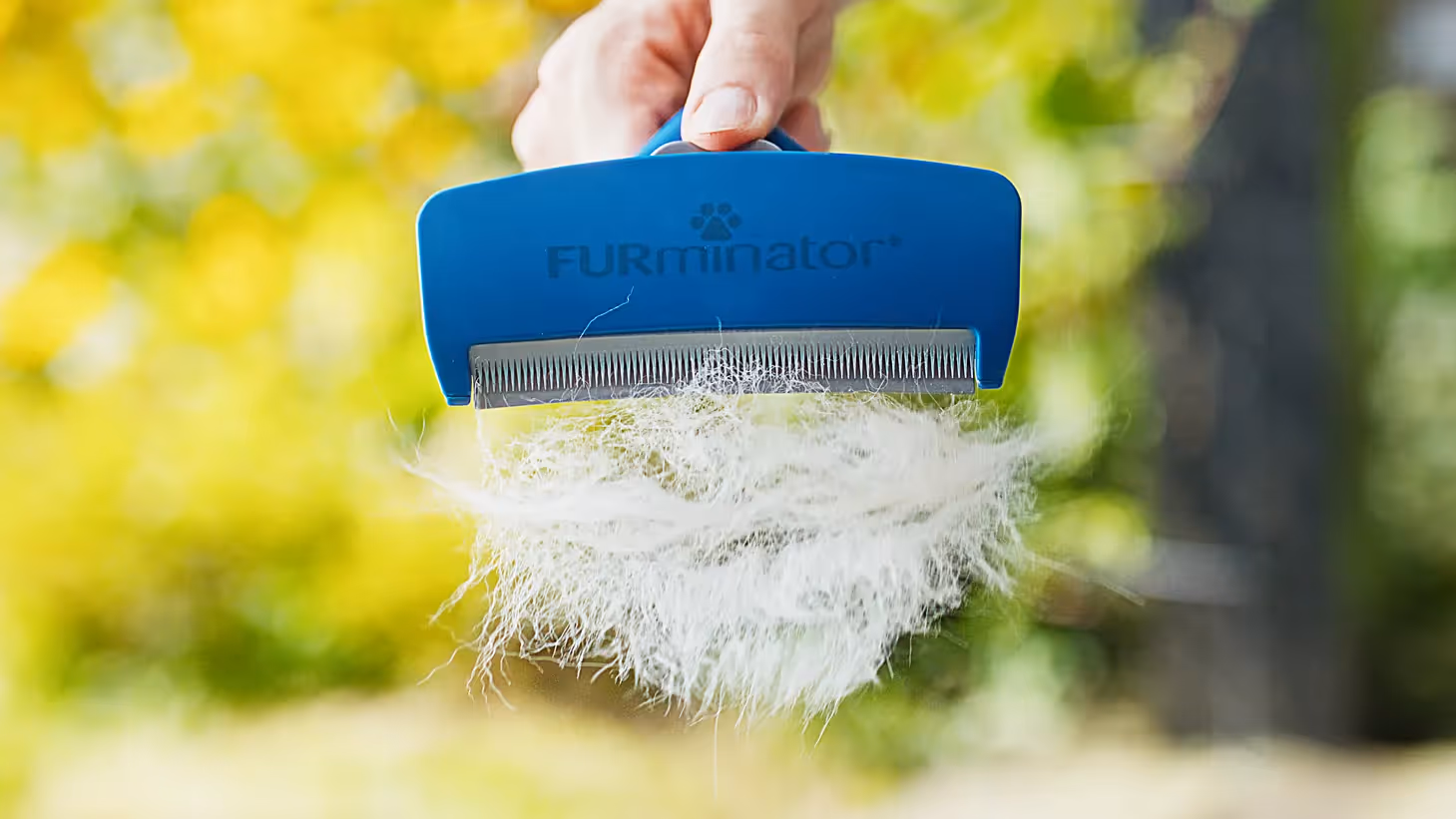 Hand hält einen blauen Furminator-Kamm mit Metallzinken, in dem sich eine große Menge ausgekämmter weißer Tierhaare verfangen hat, vor unscharfem grün-gelbem Naturhintergrund.