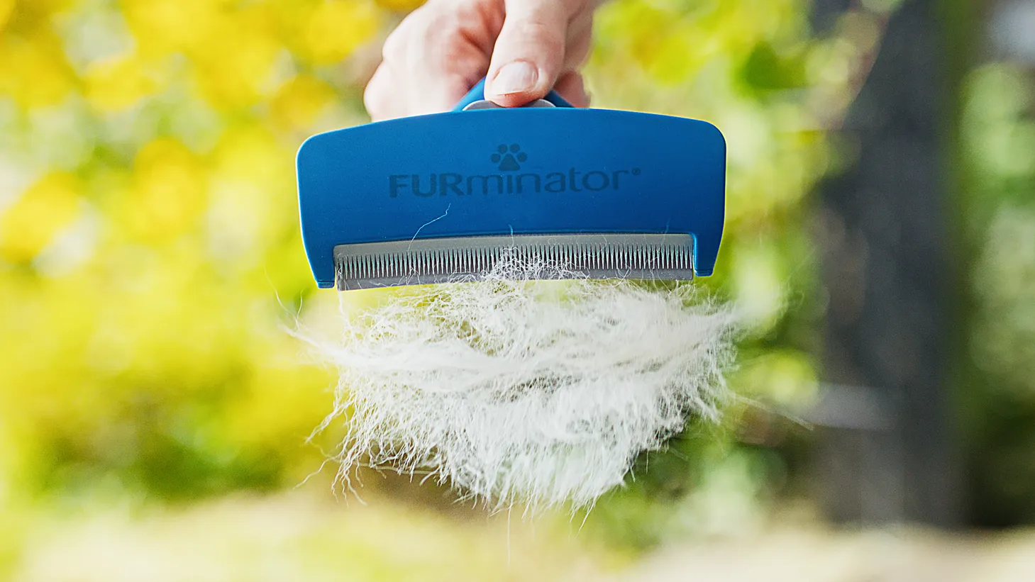 Hand hält einen blauen Furminator-Kamm mit Metallzinken, in dem sich eine große Menge ausgekämmter weißer Tierhaare verfangen hat, vor unscharfem grün-gelbem Naturhintergrund.