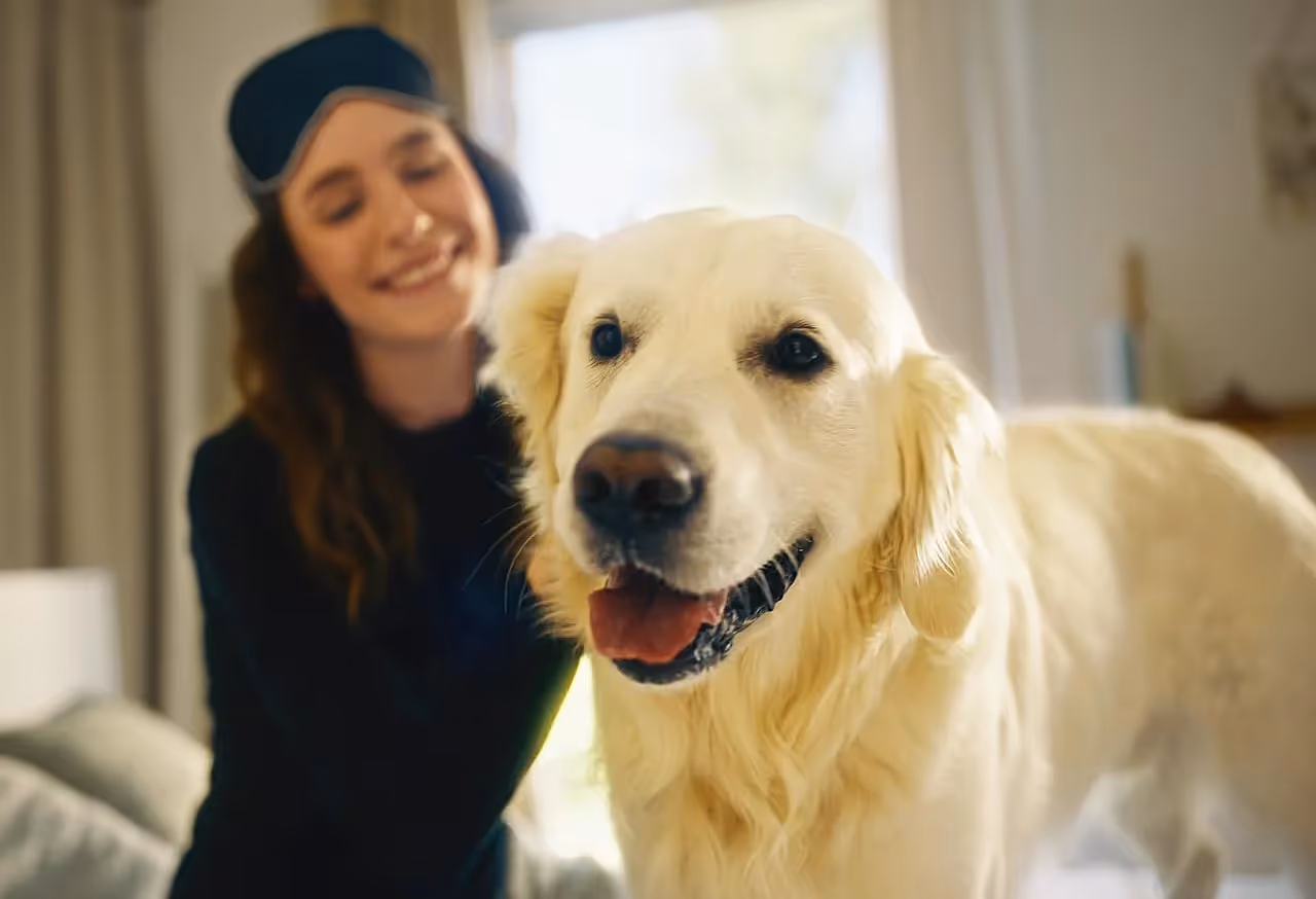 Filmproduktion und Produktvideo im Werbefilm-Stil zeigt emotionale Szene: Frau lacht mit goldenem Hund am Morgen – warme Lichtstimmung, Nähe und Authentizität betonen Lifestyle, Wohlbefinden und Markenemotion.