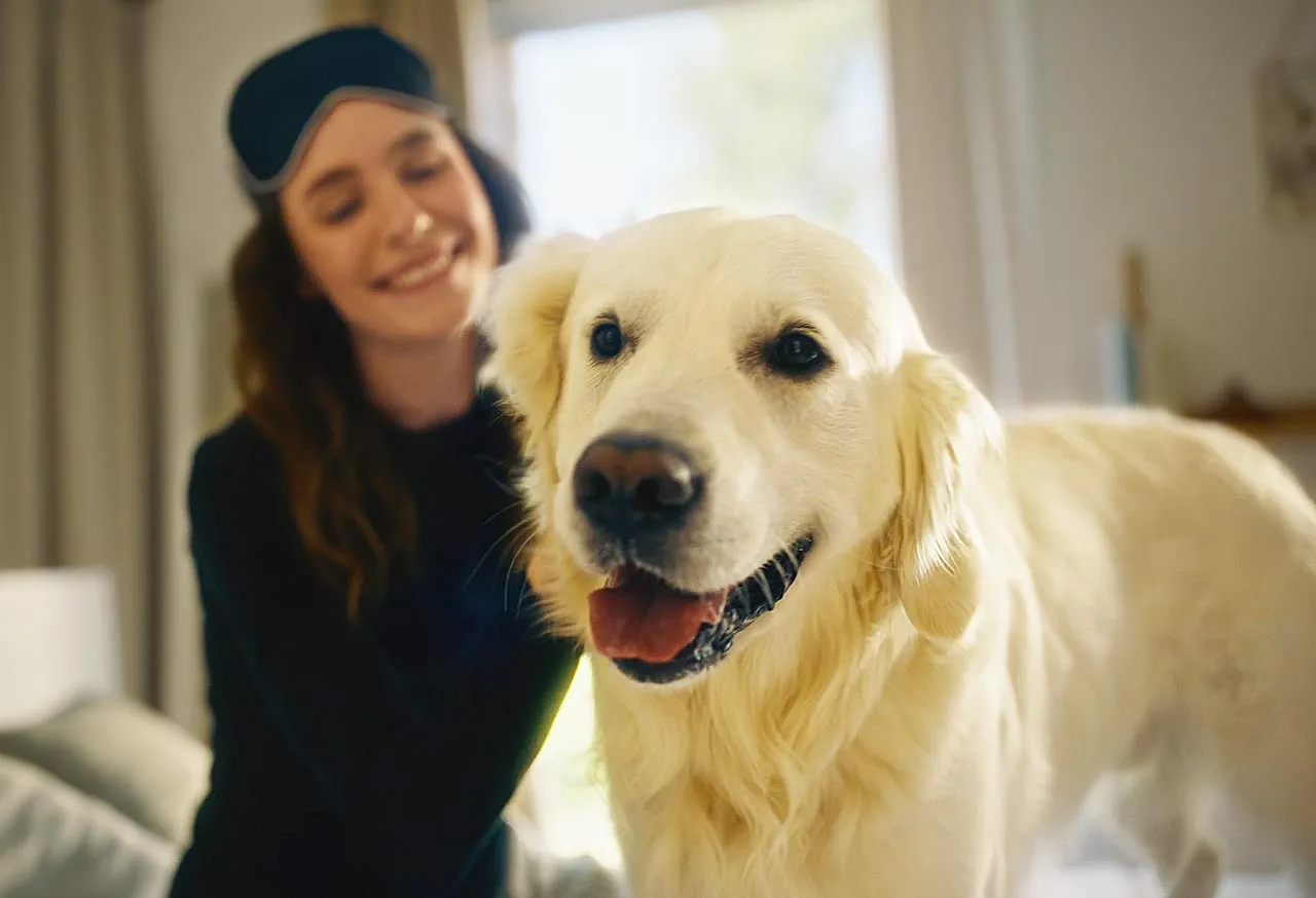 Filmproduktion und Produktvideo im Werbefilm-Stil zeigt emotionale Szene: Frau lacht mit goldenem Hund am Morgen – warme Lichtstimmung, Nähe und Authentizität betonen Lifestyle, Wohlbefinden und Markenemotion.