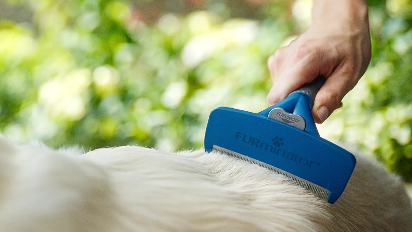 Filmproduktion und Produktvideo-Szene mit Fokus auf Werbefilm: Nahaufnahme einer Hand, die mit der blauen Furminator-Bürste das Hundefell pflegt – hochwertige Markeninszenierung mit Fokus auf Funktion, Pflege, Vertrauen und Lifestyle.