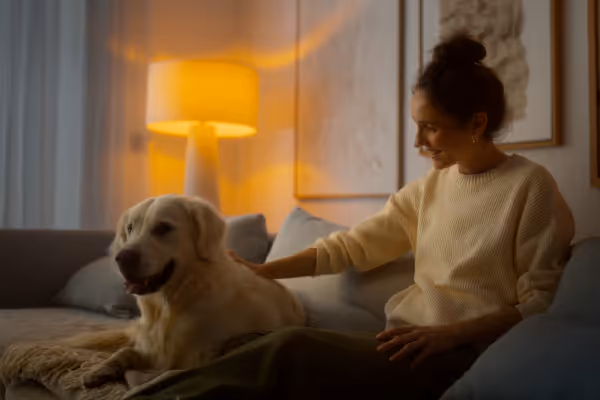 Filmproduktion und Werbefilm-Szene mit emotionaler Produktvideo-Inszenierung: Frau sitzt abends mit goldenem Hund auf dem Sofa, warme Lichtstimmung und gemütliche Atmosphäre betonen Nähe, Vertrauen und Lifestyle-Markenerlebnis.