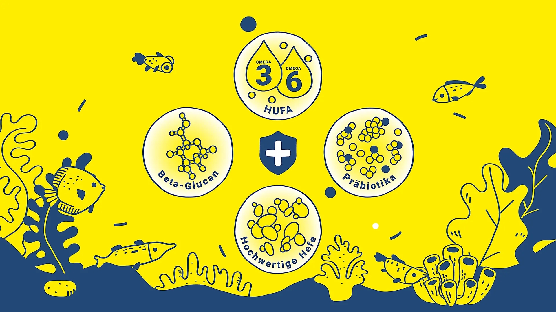 Illustration auf gelbem Hintergrund: Infografik zu Nährstoffen im Fischfutter – Omega 3 & 6 HUFA, Beta-Glucan, Präbiotika und hochwertige Hefe.