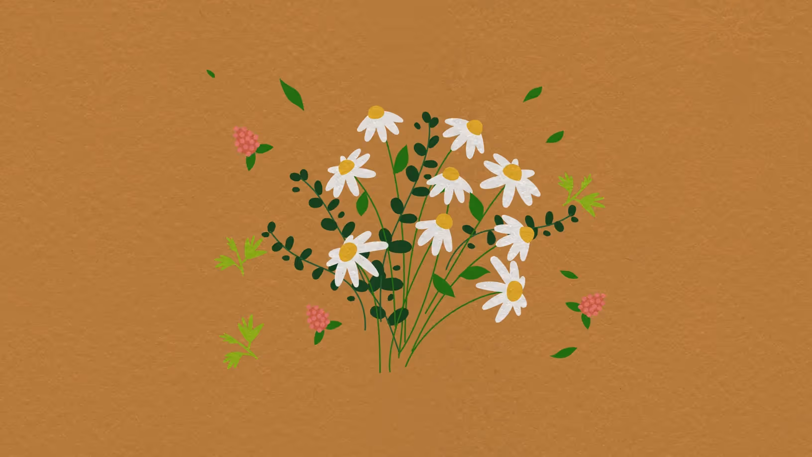 „Illustration von Kamillenblüten und Heilpflanzen – natürliche Inhaltsstoffe für pflanzliche Medizin und Immunsystem-Stärkung.