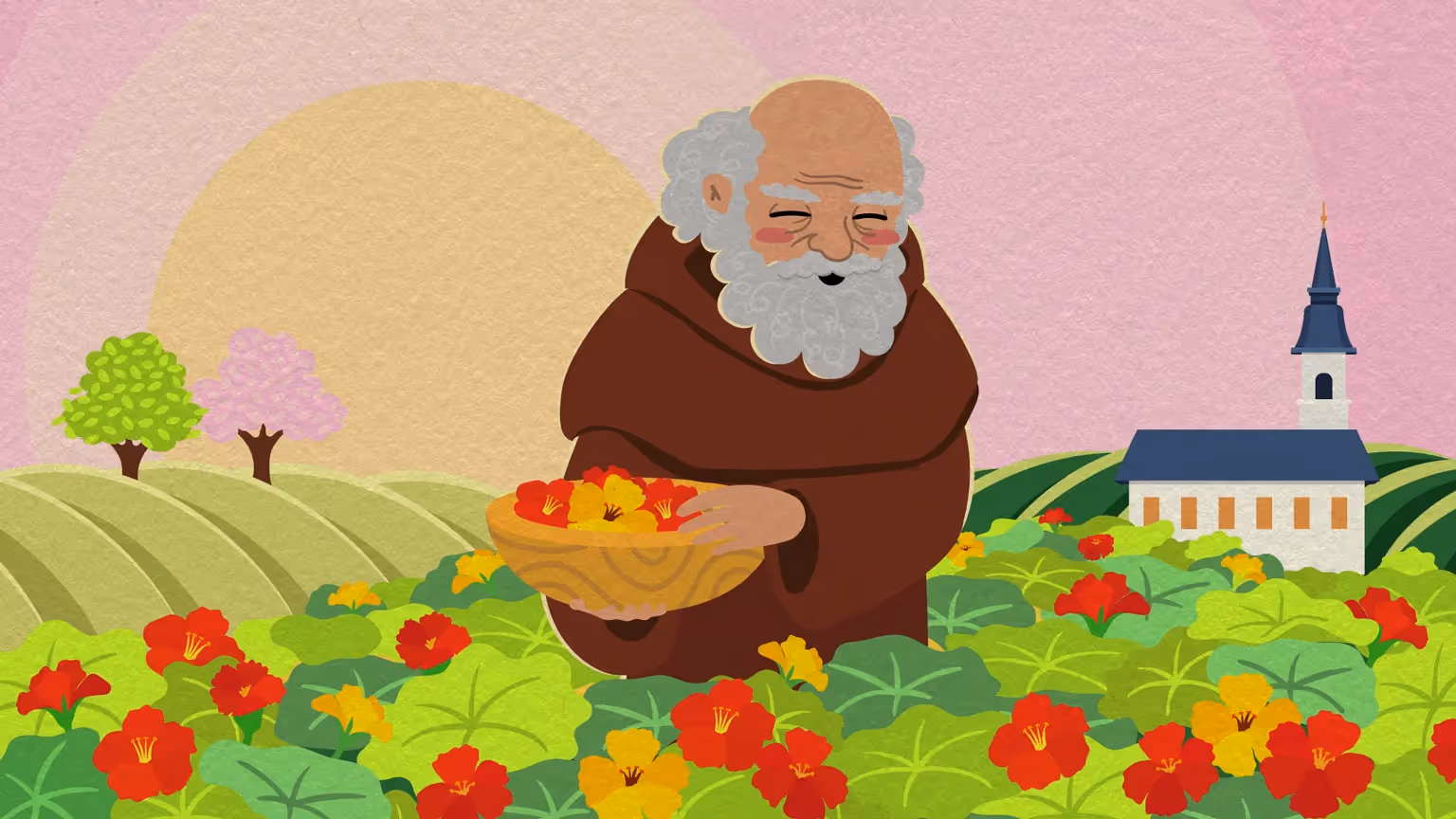 Illustration eines Mönchs bei der Ernte von Kapuzinerkresse im Klostergarten – traditionelle Heilpflanze für pflanzliche Arzneimittel.