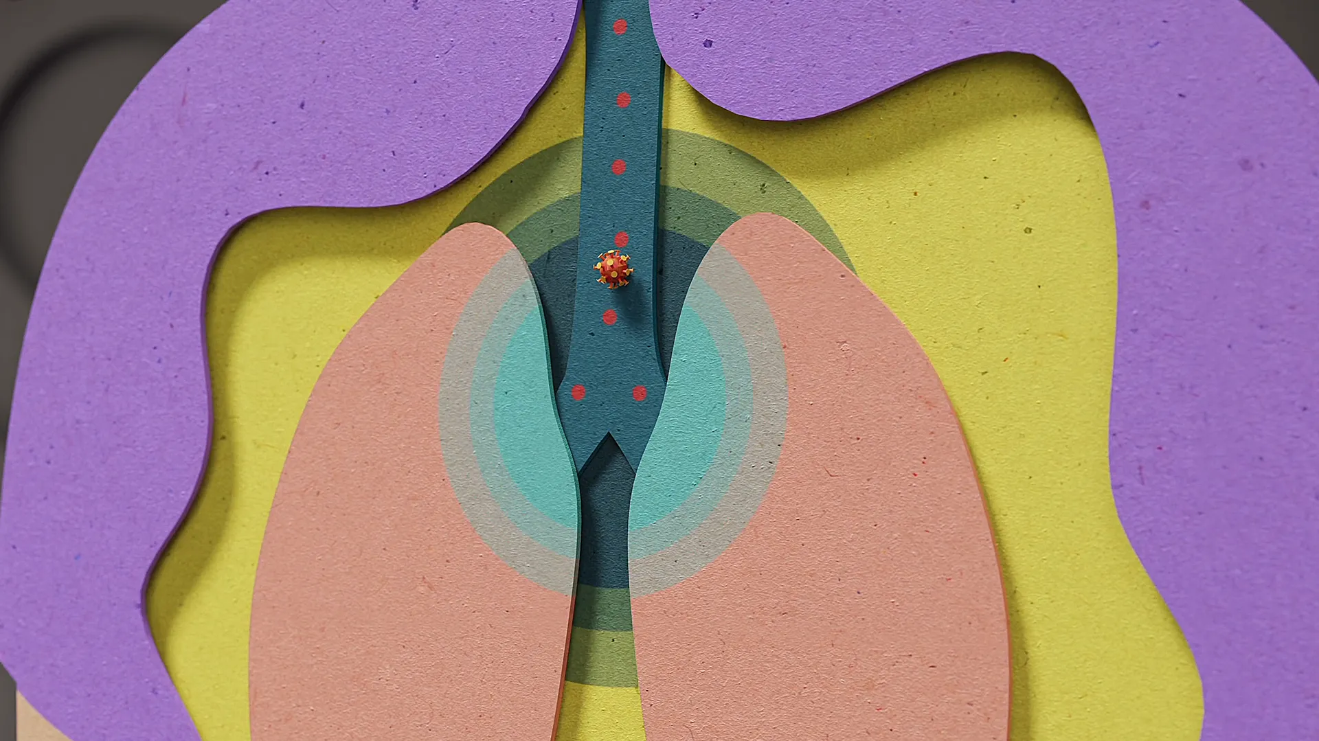 Papercut-Darstellung von Lungen mit Virus im Atemtrakt – Visualisierung von Infektabwehr und Schutz durch pflanzliche Medizin.