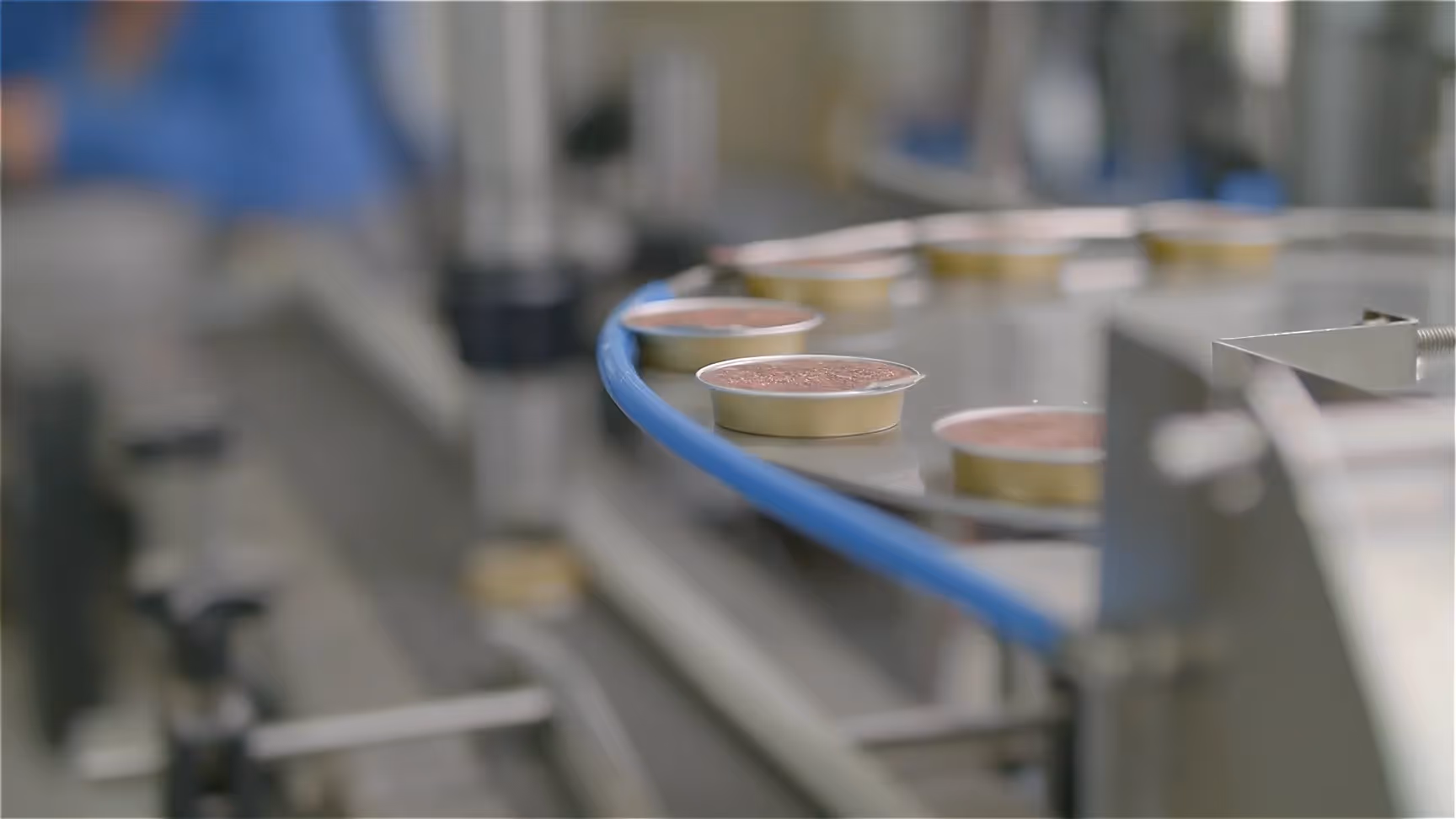 Produktionsaufnahme: Metall-Behälter mit kleinen Futterschalen auf Förderband, Fokus auf gefüllte Dosen in goldenen Schalen – industrielle Fertigung bei Tetra.