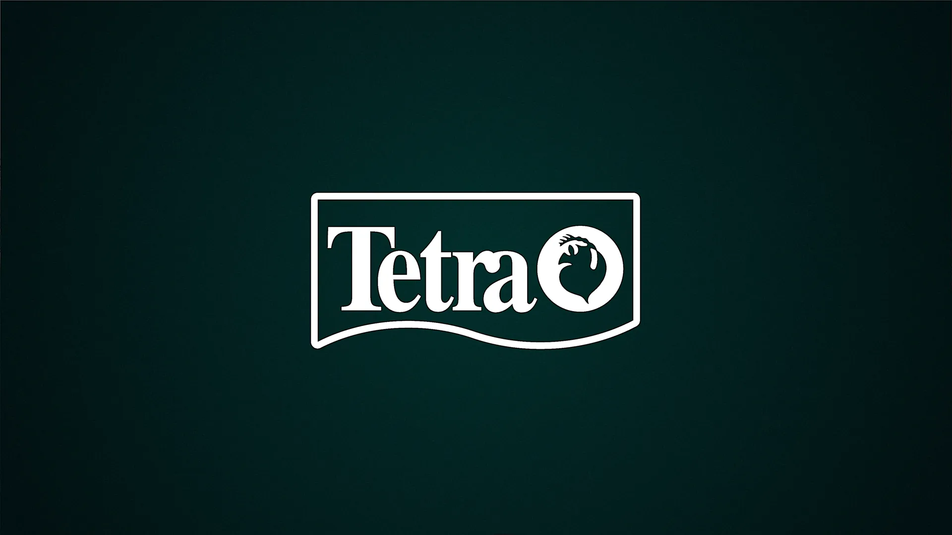 Minimalistische 3D-Animation: weißes Tetra-Logo mit Fischsymbol auf dunkelgrünem Hintergrund, klar und markant im Markenstil dargestellt.