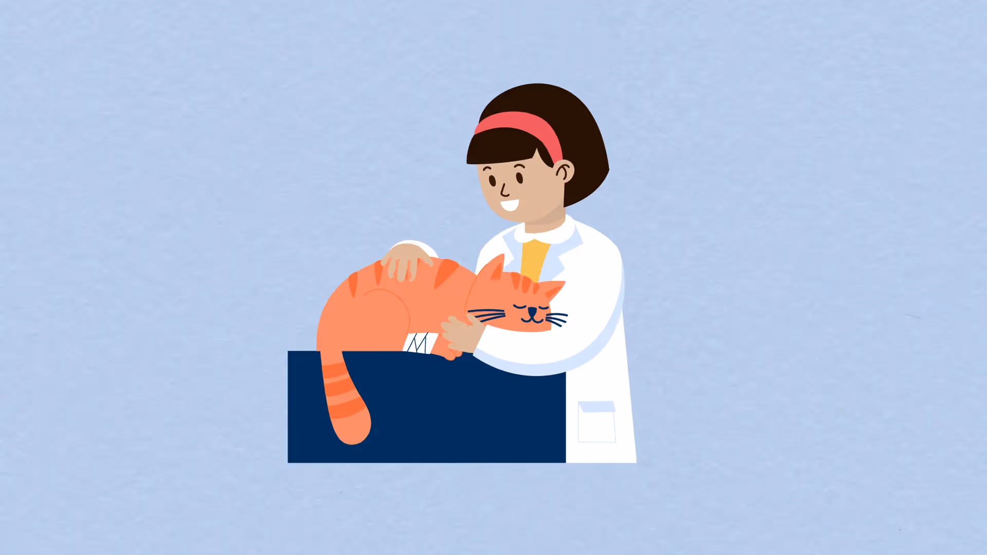 2D-Erklärvideo-Illustration mit Tierärztin, die eine orangefarbene Katze untersucht. Bildungsorientierte Animation zu Tierpflege, Gesundheit und Lernen – ideal für kindgerechte Bildungsfilme oder Schulmaterialien.