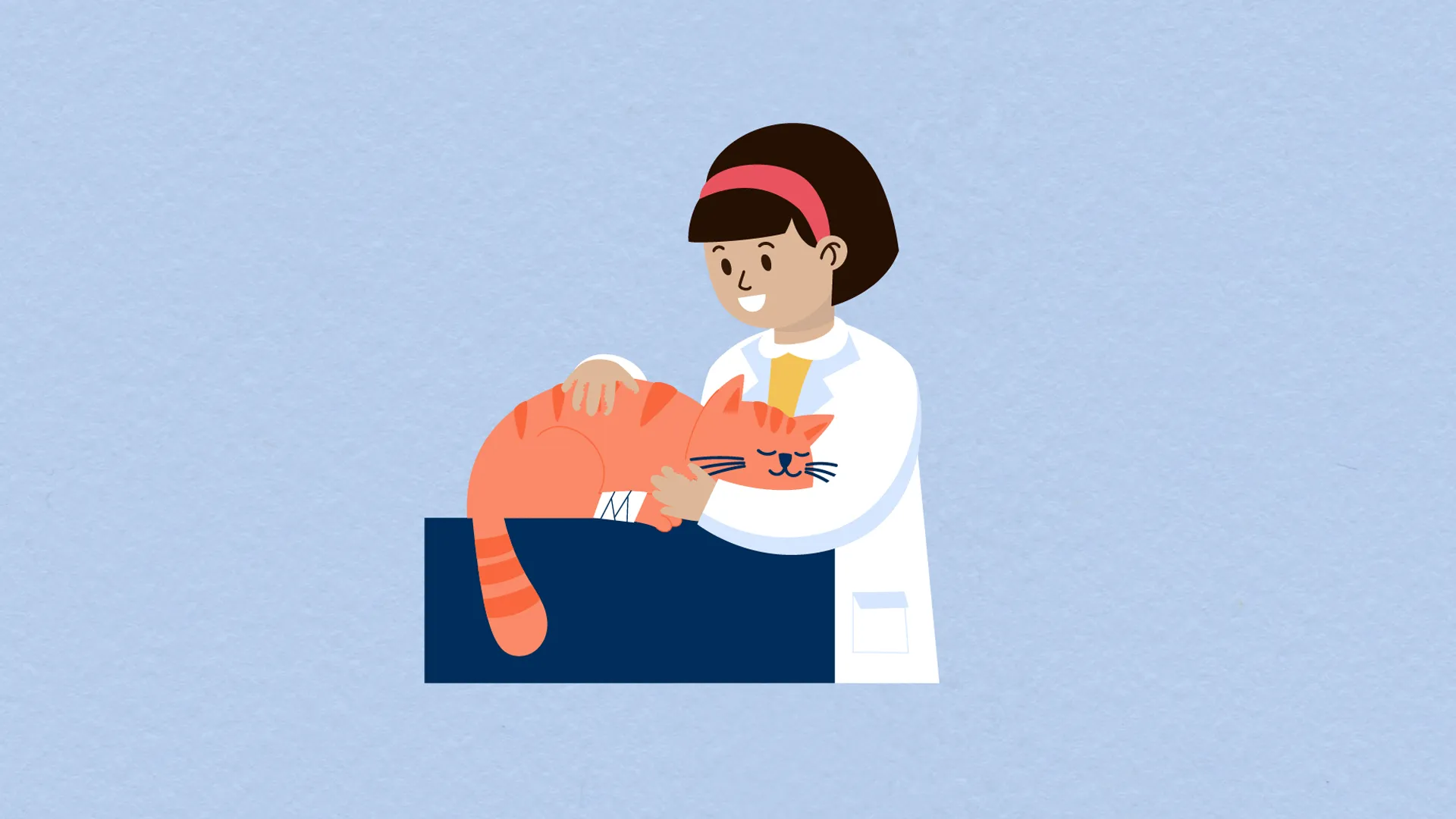 2D-Erklärvideo-Illustration mit Tierärztin, die eine orangefarbene Katze untersucht. Bildungsorientierte Animation zu Tierpflege, Gesundheit und Lernen – ideal für kindgerechte Bildungsfilme oder Schulmaterialien.