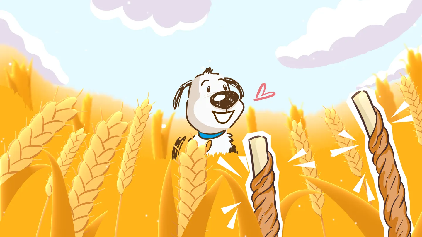 2D Erklärvideo und Werbefilm Illustration: Fröhlicher Hund steht im goldgelben Weizenfeld und entdeckt einen Kaustick – emotionale 2D Animation für Produktvideo, Tiernahrung und kreative Markenkommunikation.
