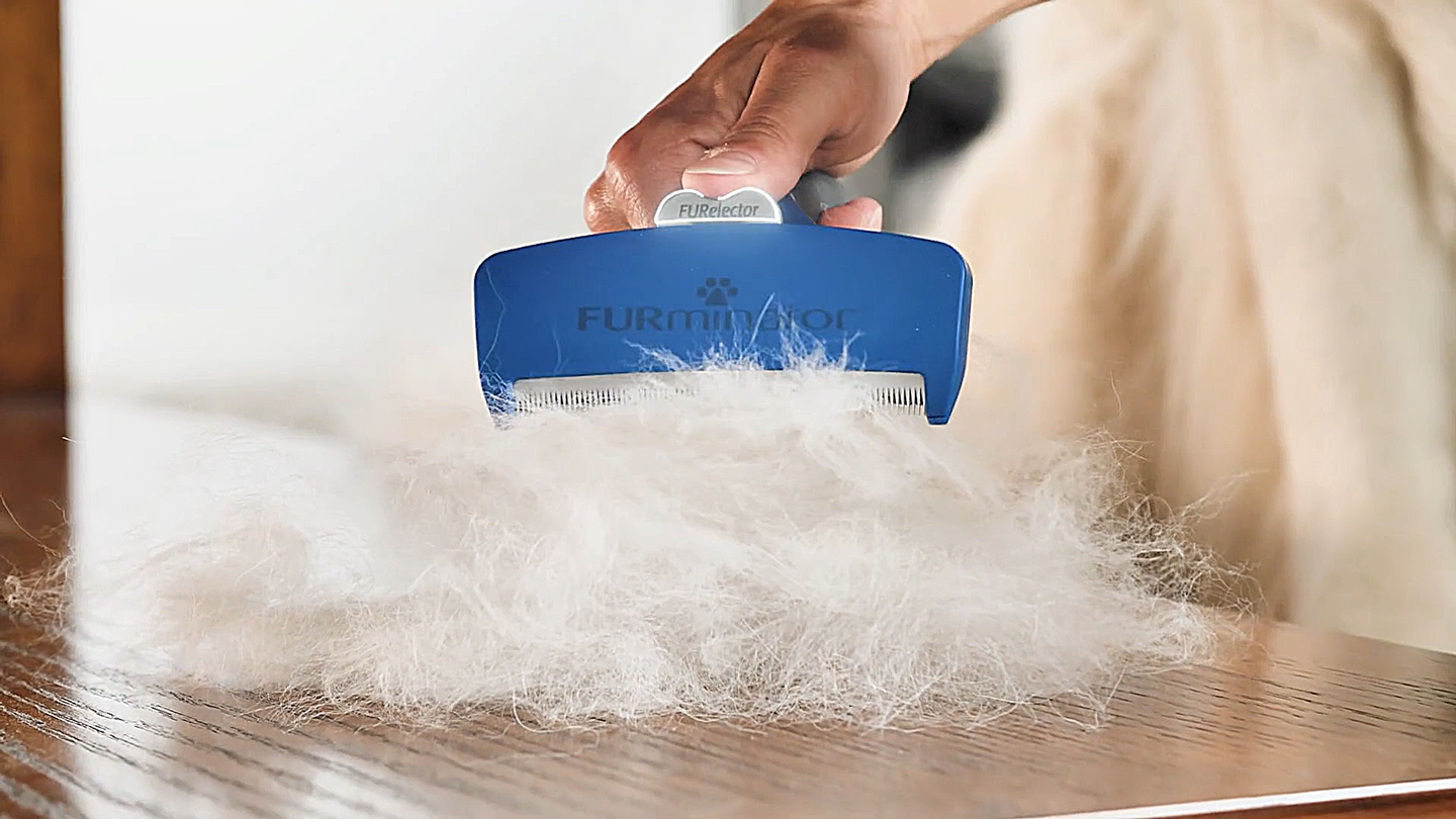 Effektive Fellpflege mit dem blauen FURminator Fellkamm entfernt lose Hundehaare und Unterwolle vom Haustier.