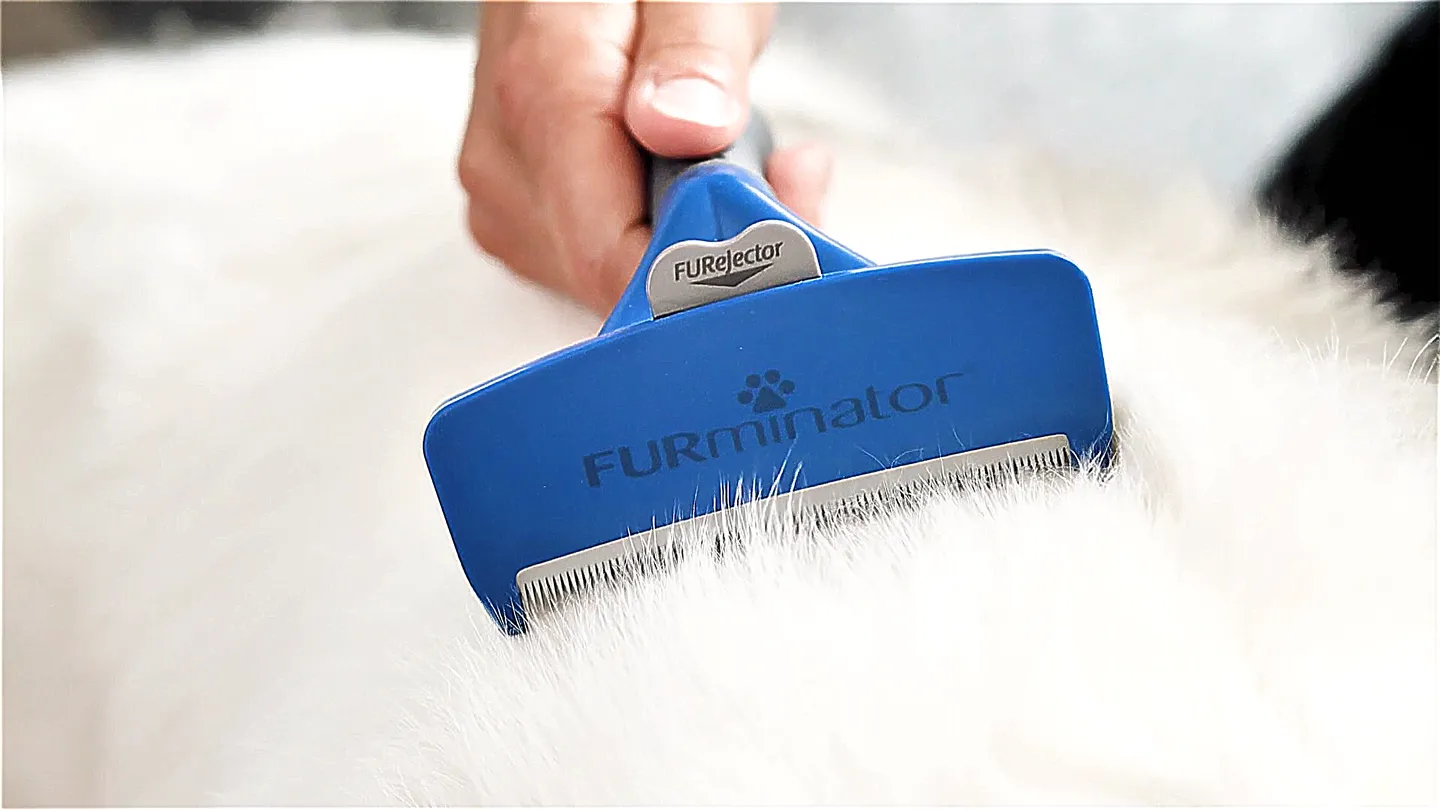 FURminator Fellpflegebürste gleitet durch dichtes weißes Hundefell und entfernt sanft Unterwolle.