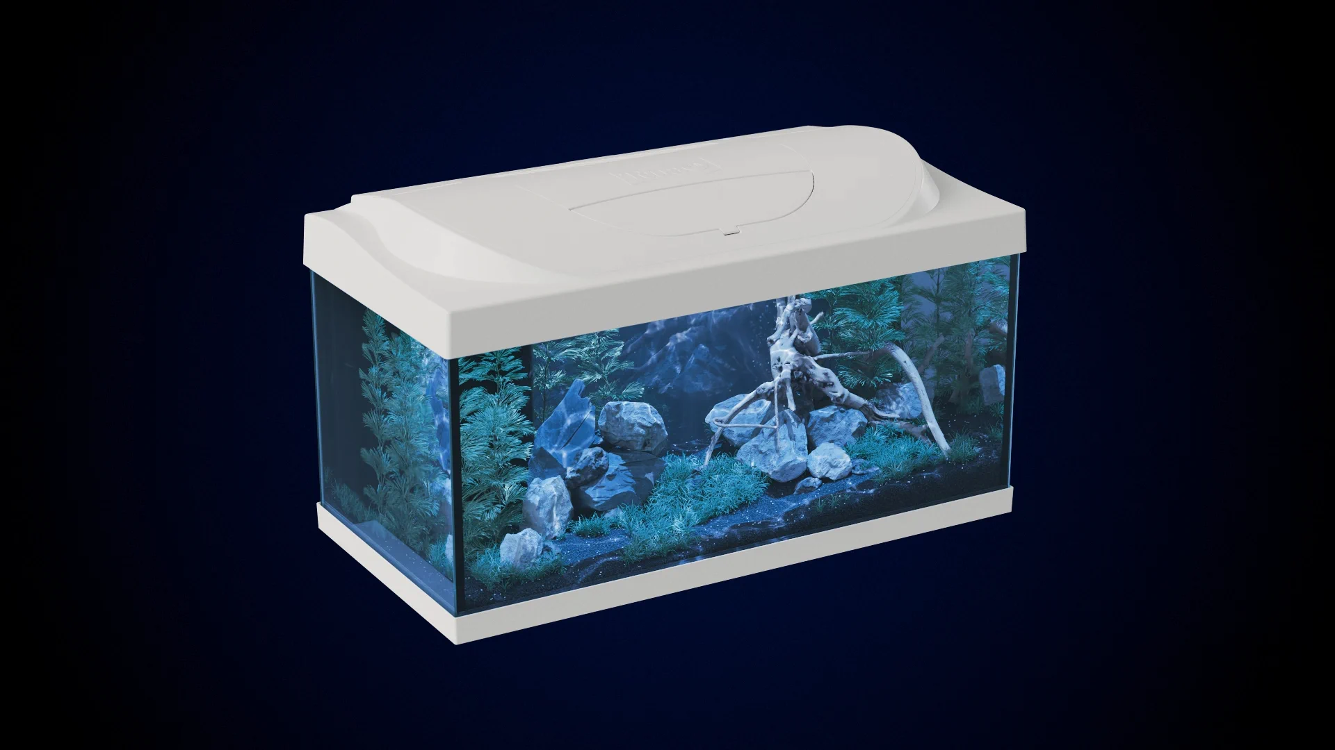 Starter Line Aquarium im Nachtlichtmodus mit gedämpftem blauem Licht