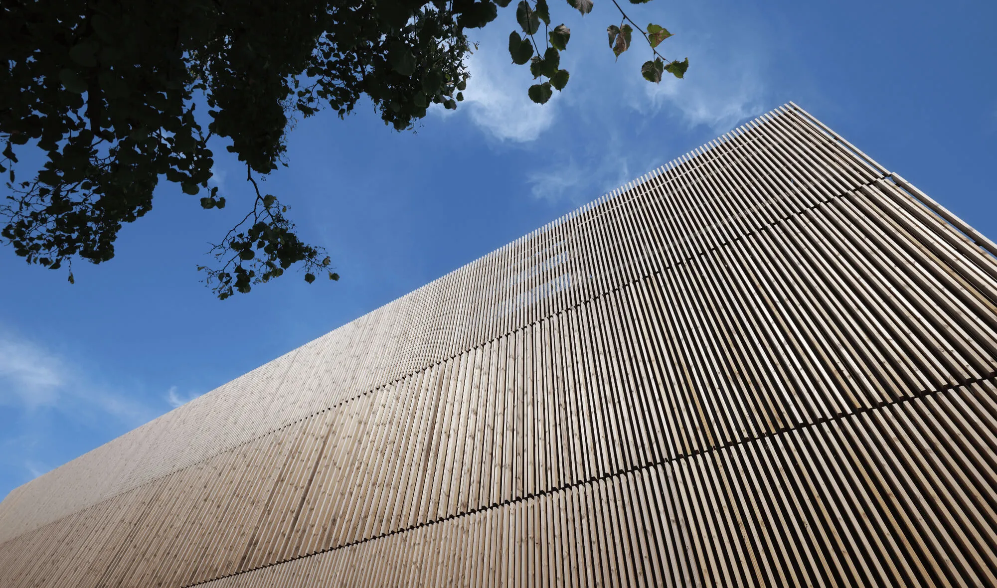Moderne Fassade eines Gebäudes mit vertikalen Holzlatten vor blauem Himmel und Blättern am oberen Rand.