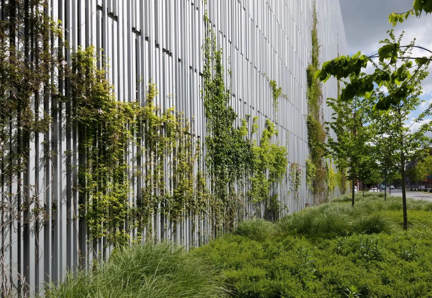 Facade med masser af grøn bevoksning