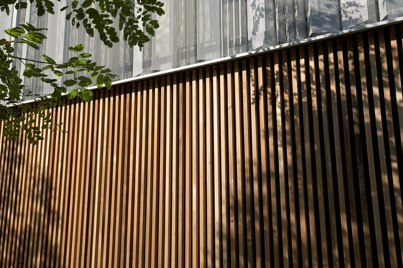 Schatten von Blättern auf einer vertikalen Holzlattenwand unter einem metallischen Gitter und grünen Blättern oben links.