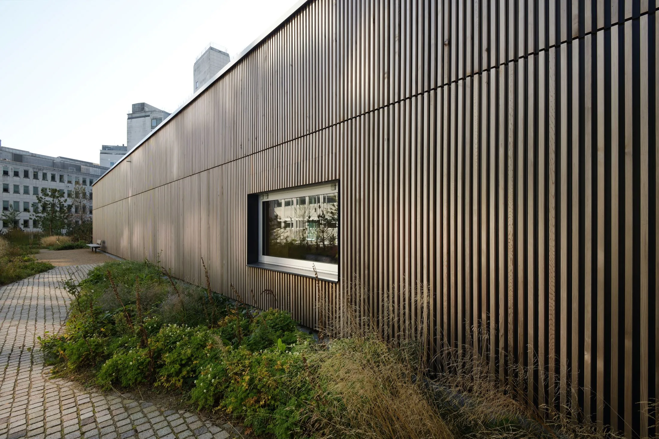 Woodfac Panel, Thermische Bewegung: Holzlamellenfassade mit Fenster neben einem Gartenweg