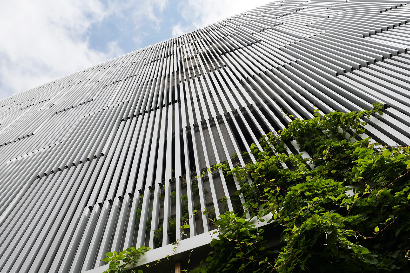 Helle Aluminiumlamellen an der Fassade von Stigsborg mit Efeu, Napsu
