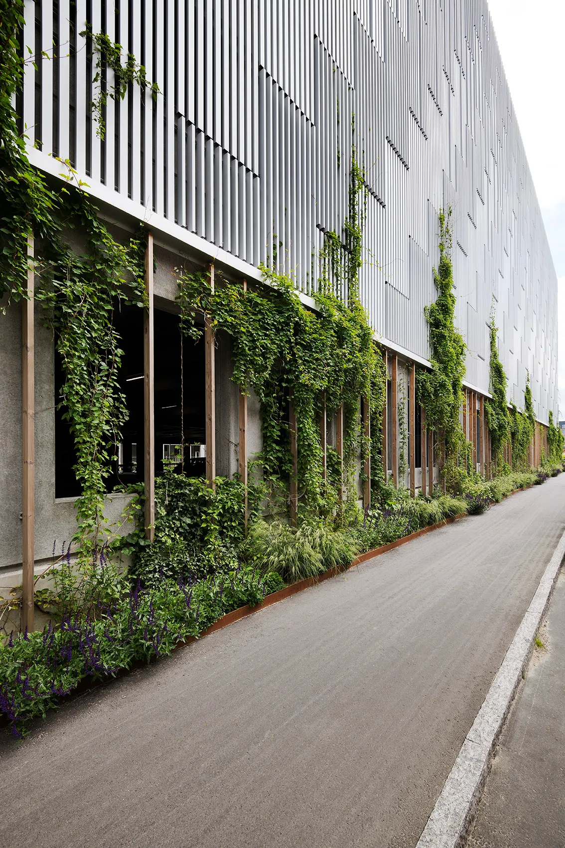 Lange Fassade des Parkhauses Stigsborg mit Woodfac Click und Napsu, begrünt mit Kletterpflanzen und Stauden