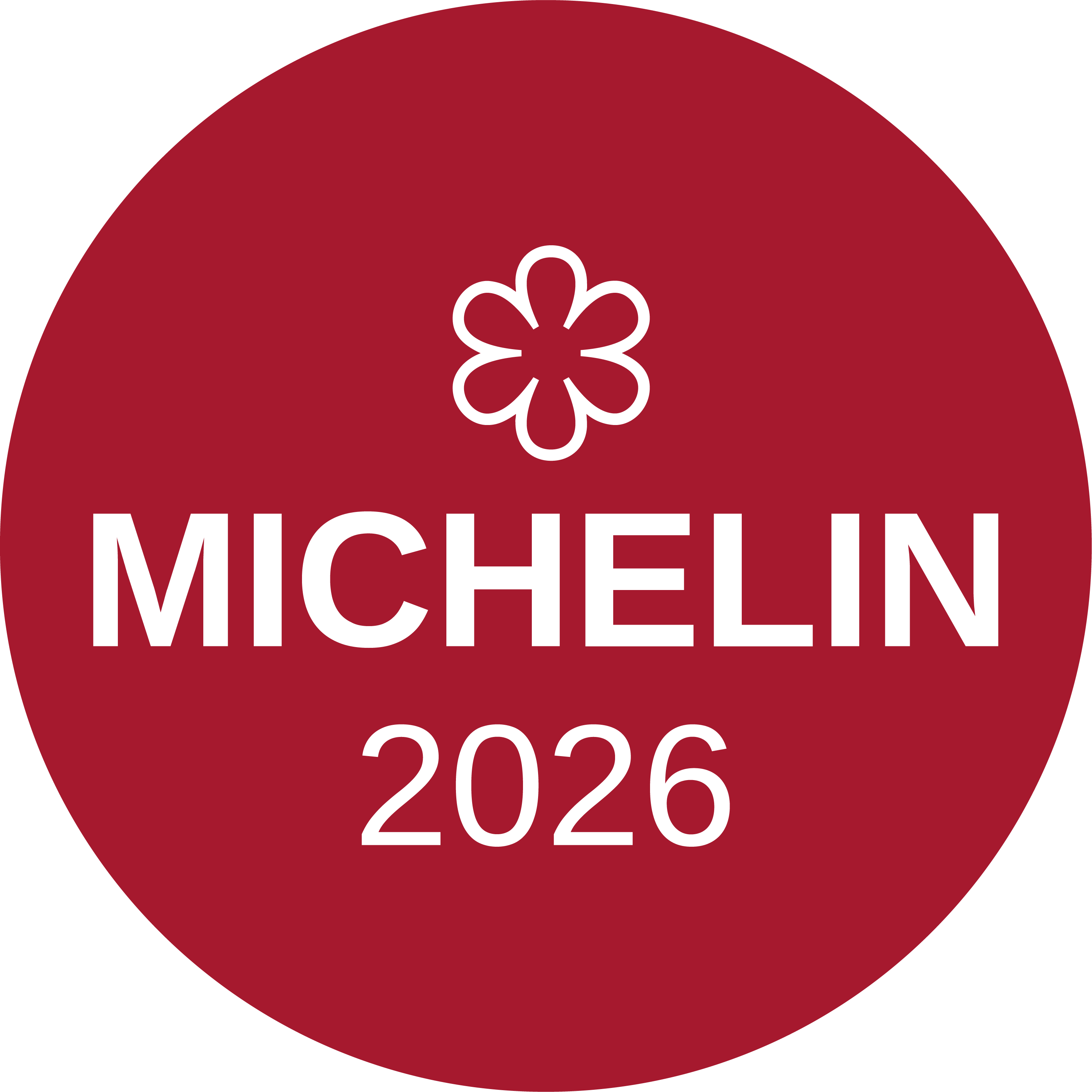 Michelin Star Badge 2023