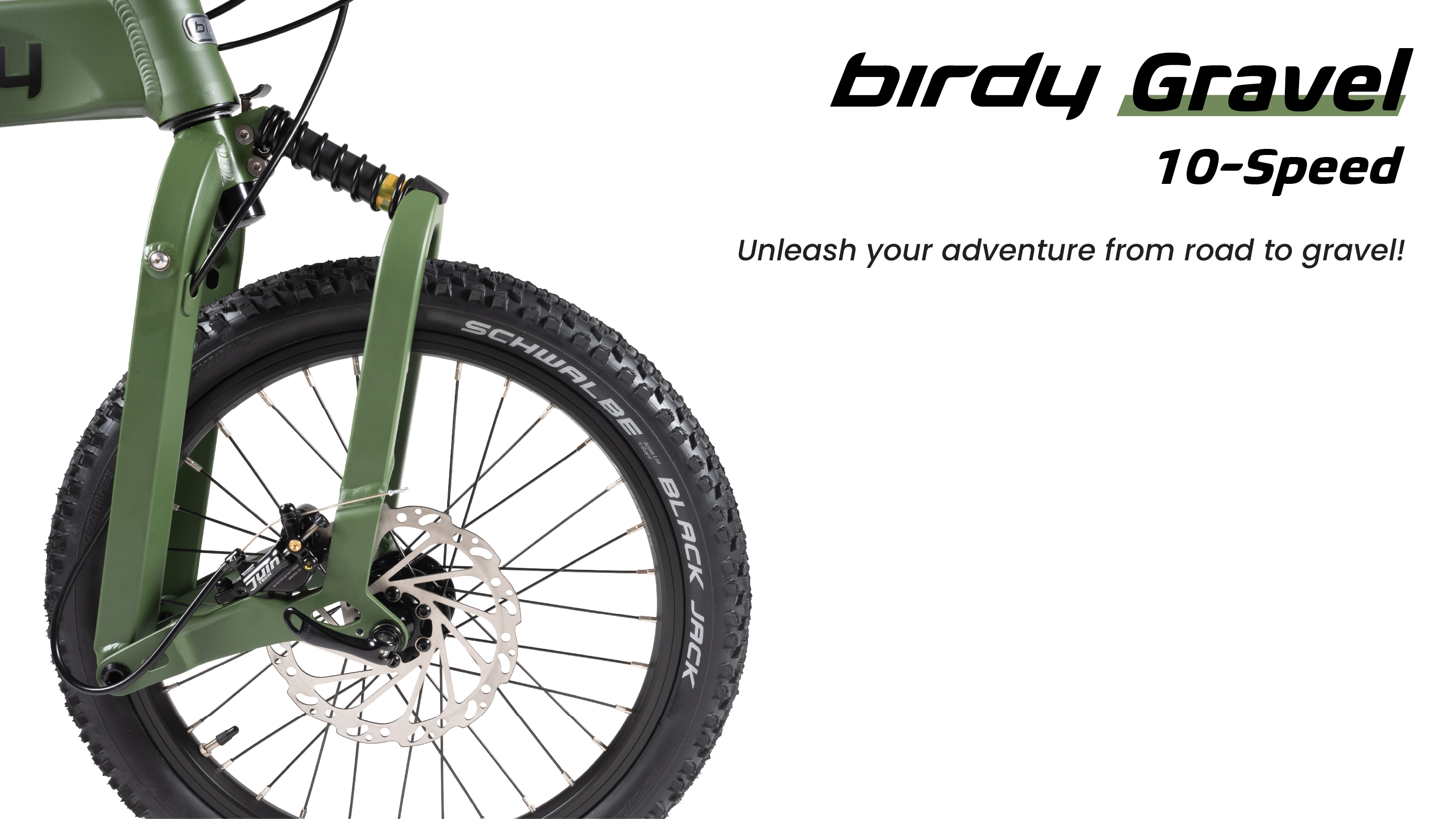 Birdy New Classic Foldable Bike (8 speeds)