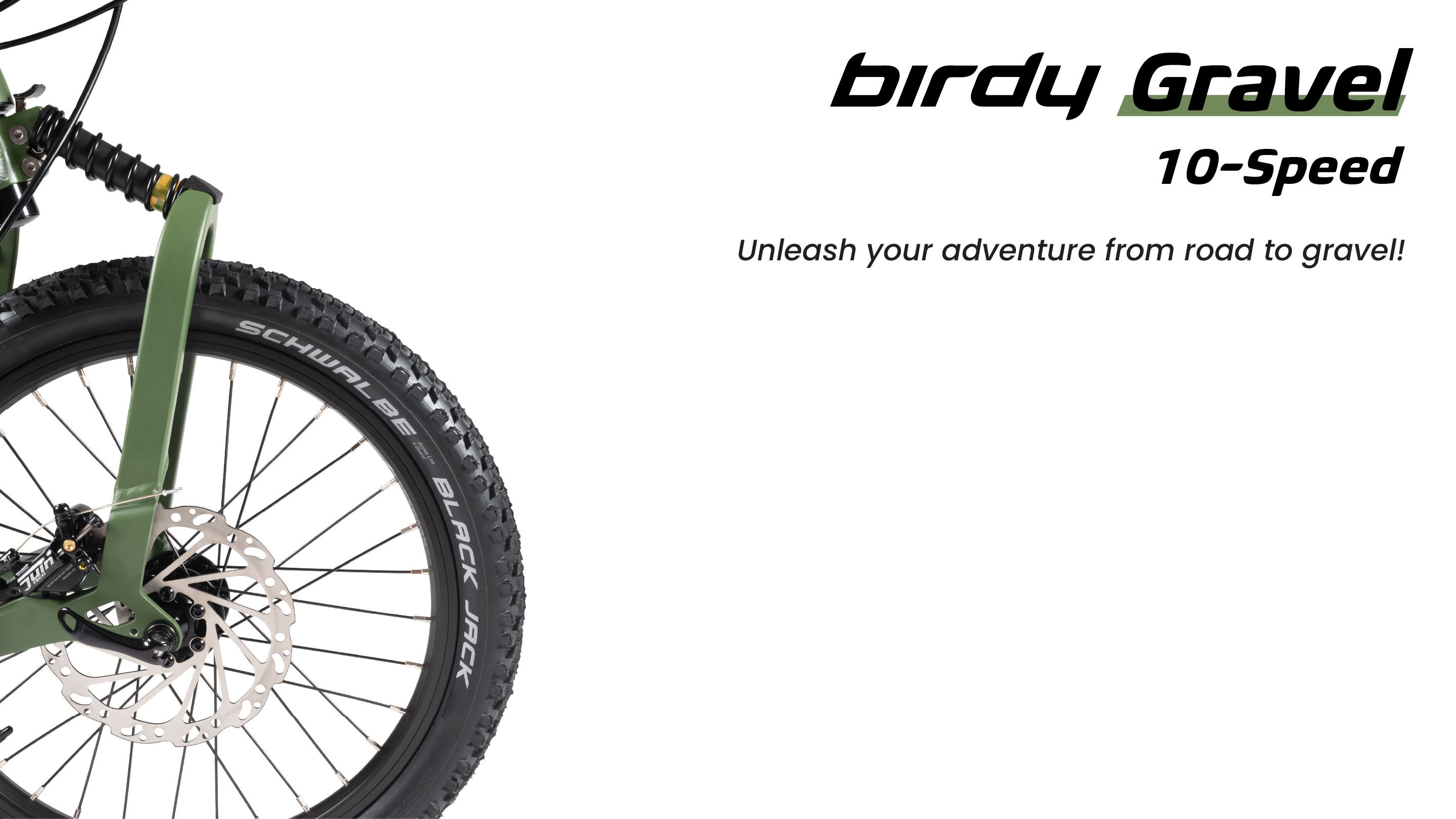 BIrdy Rohloff Folding Bike 14 Speeds)