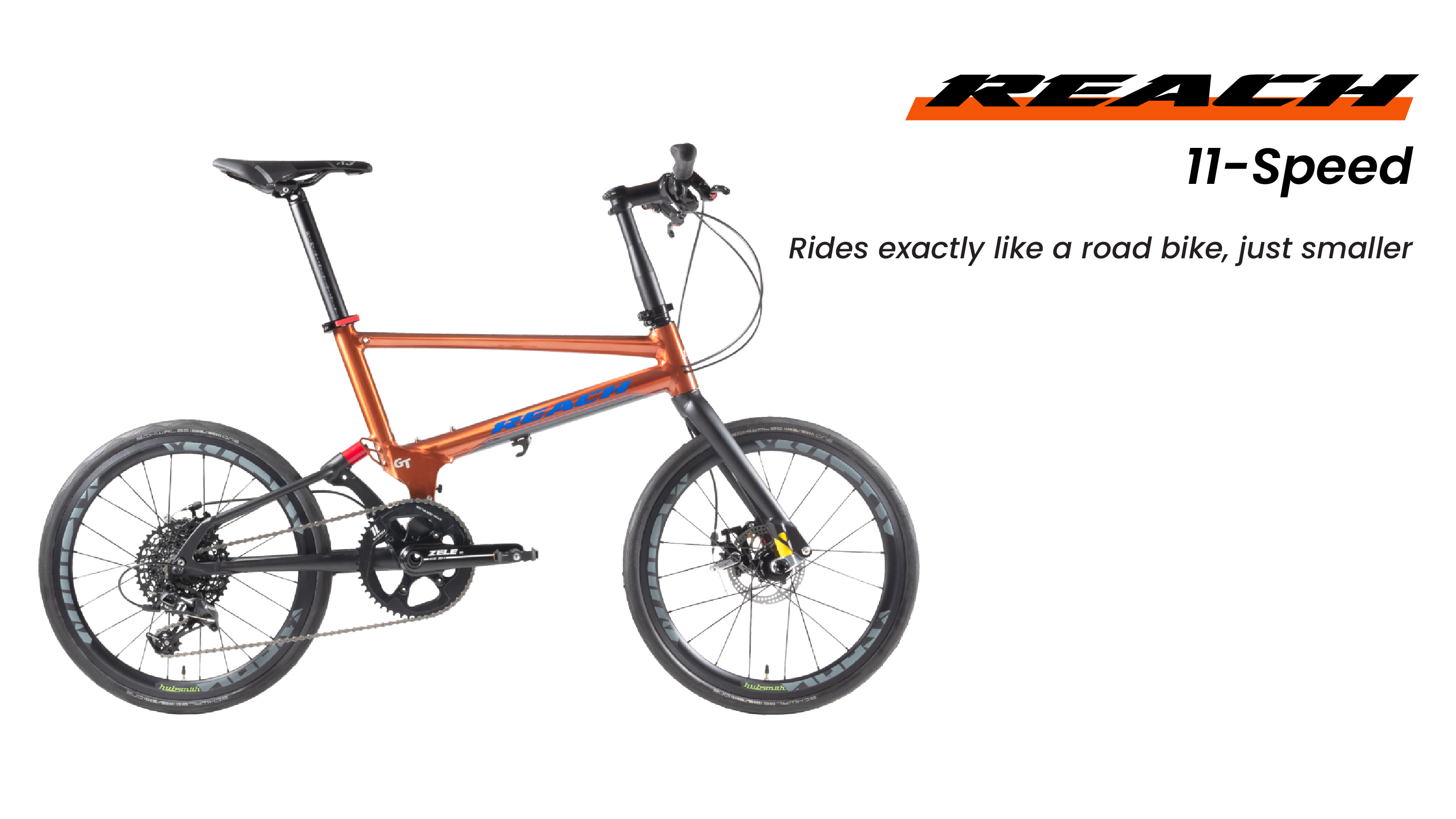 Birdy New Classic Foldable Bike (8 speeds)