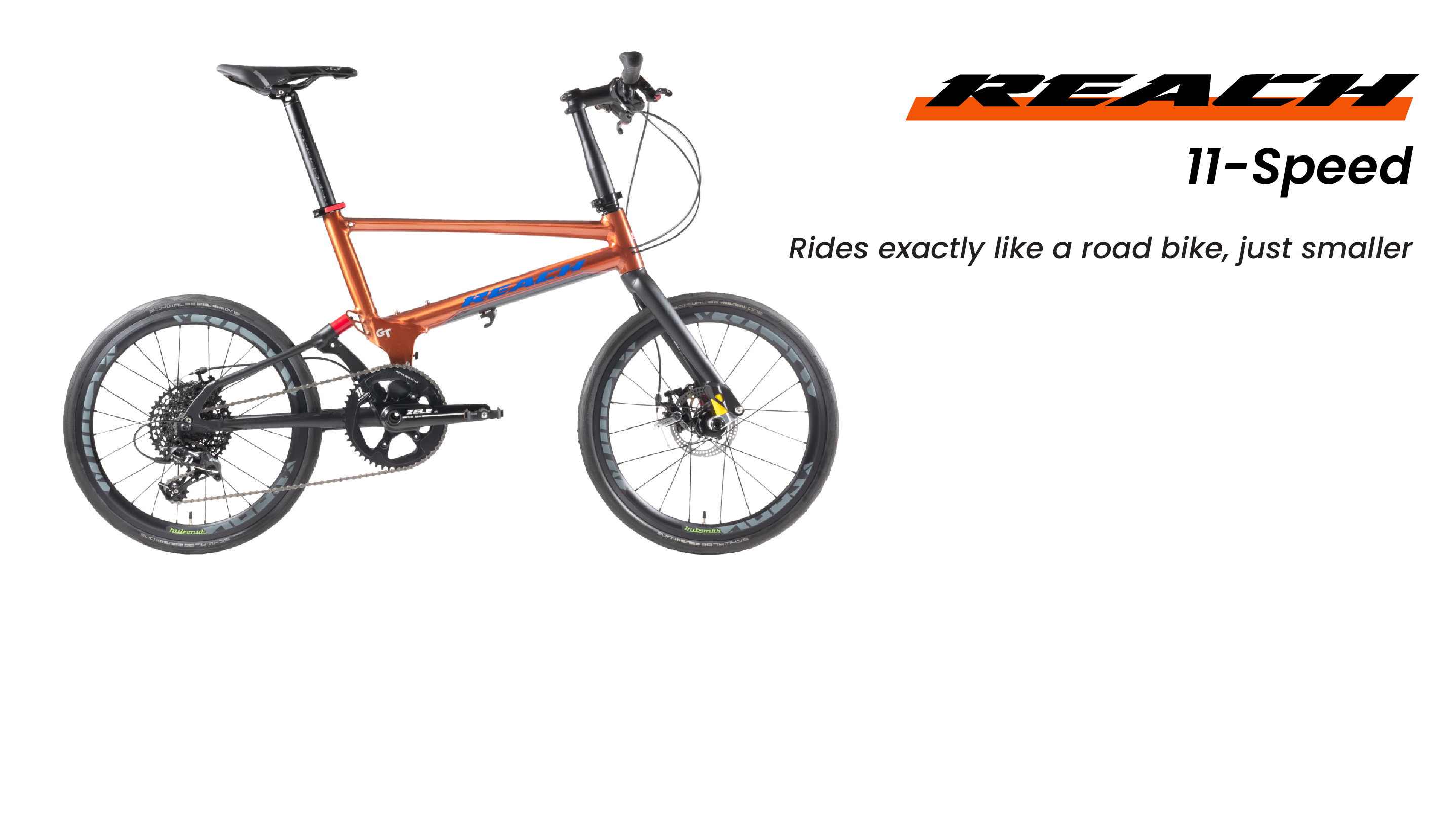BIrdy Rohloff Folding Bike 14 Speeds)