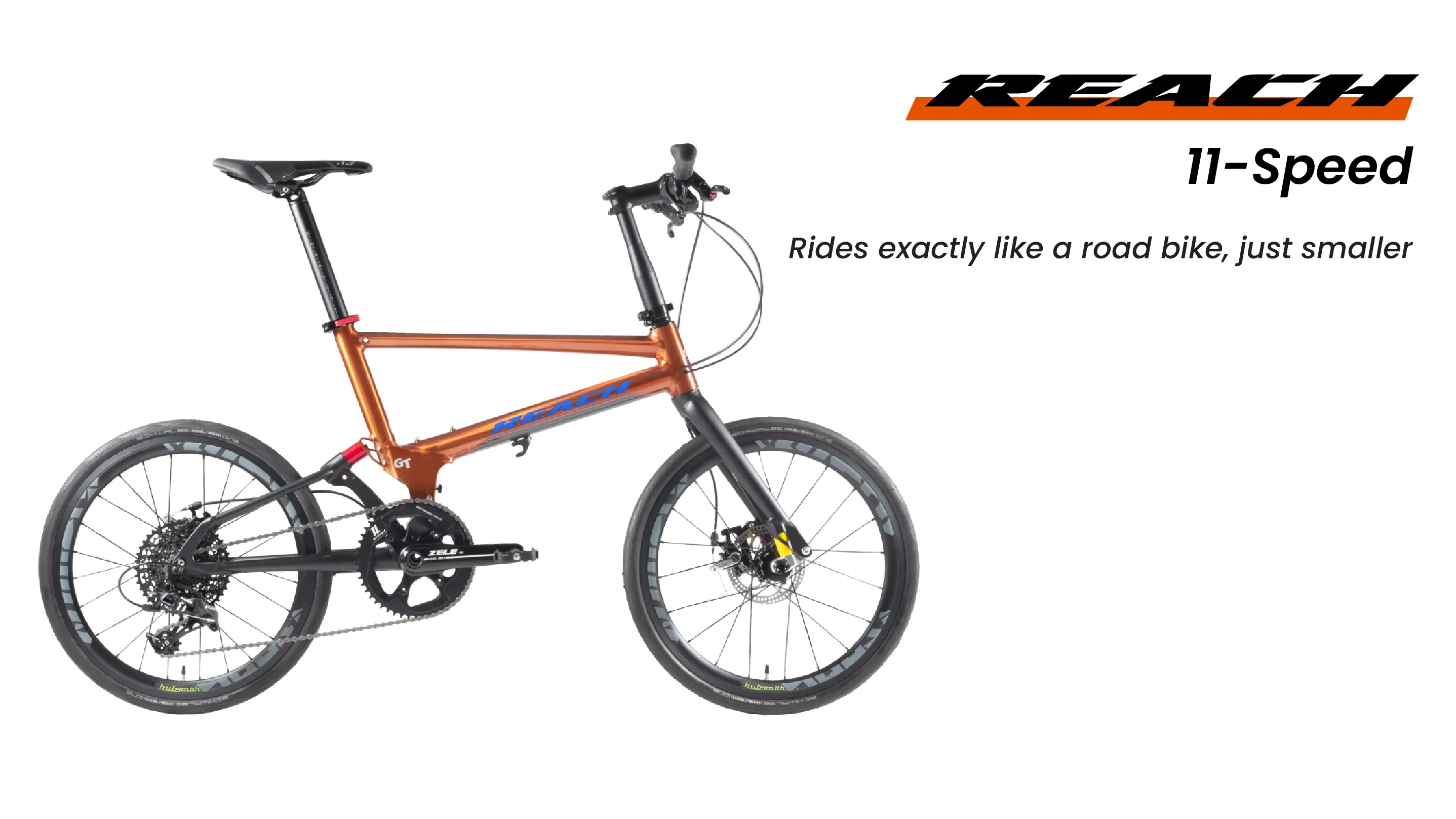 Birdy New Classic Foldable Bike (8 speeds)