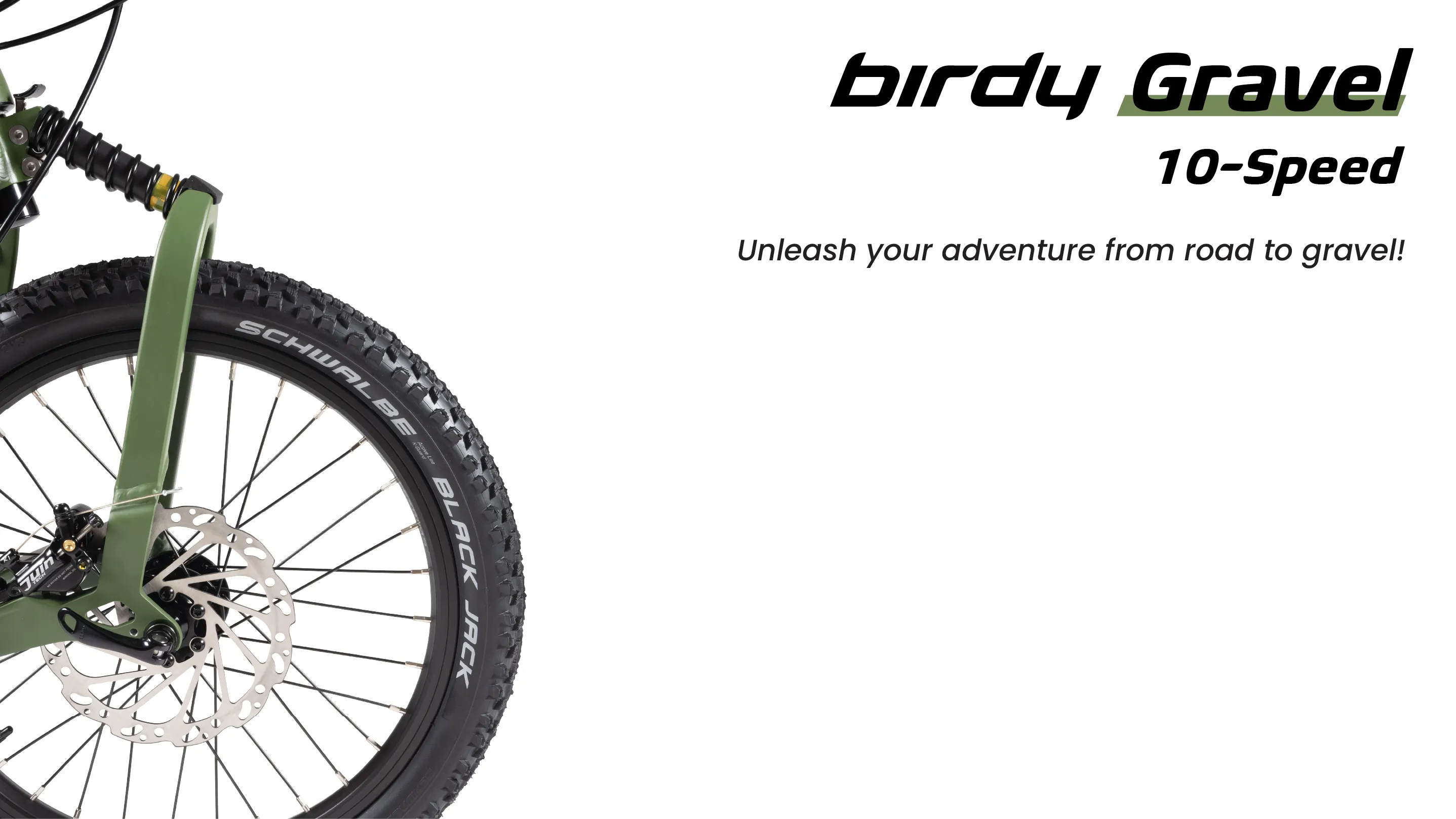 BIrdy Rohloff Folding Bike 14 Speeds)