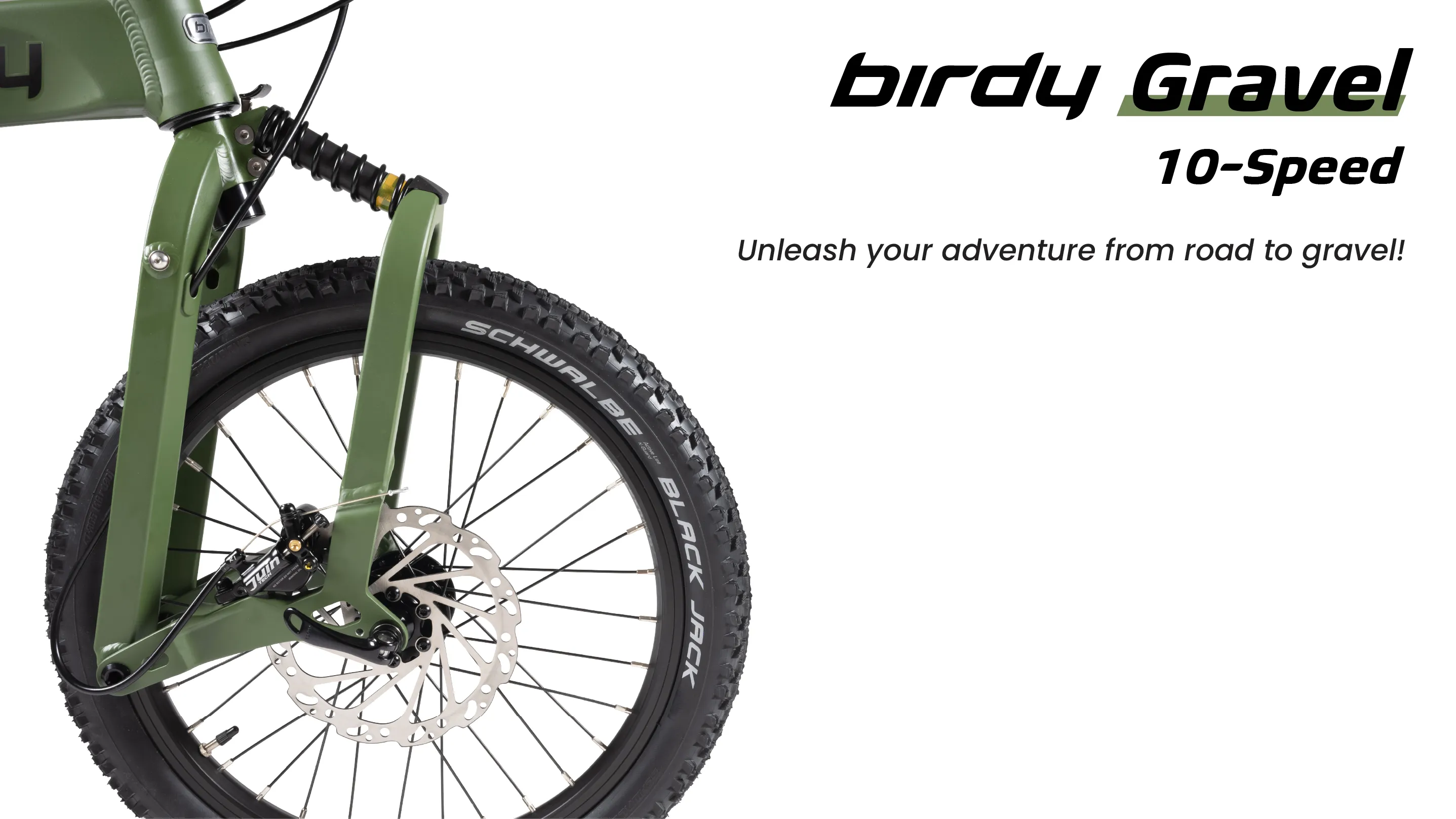 Birdy New Classic Foldable Bike (8 speeds)