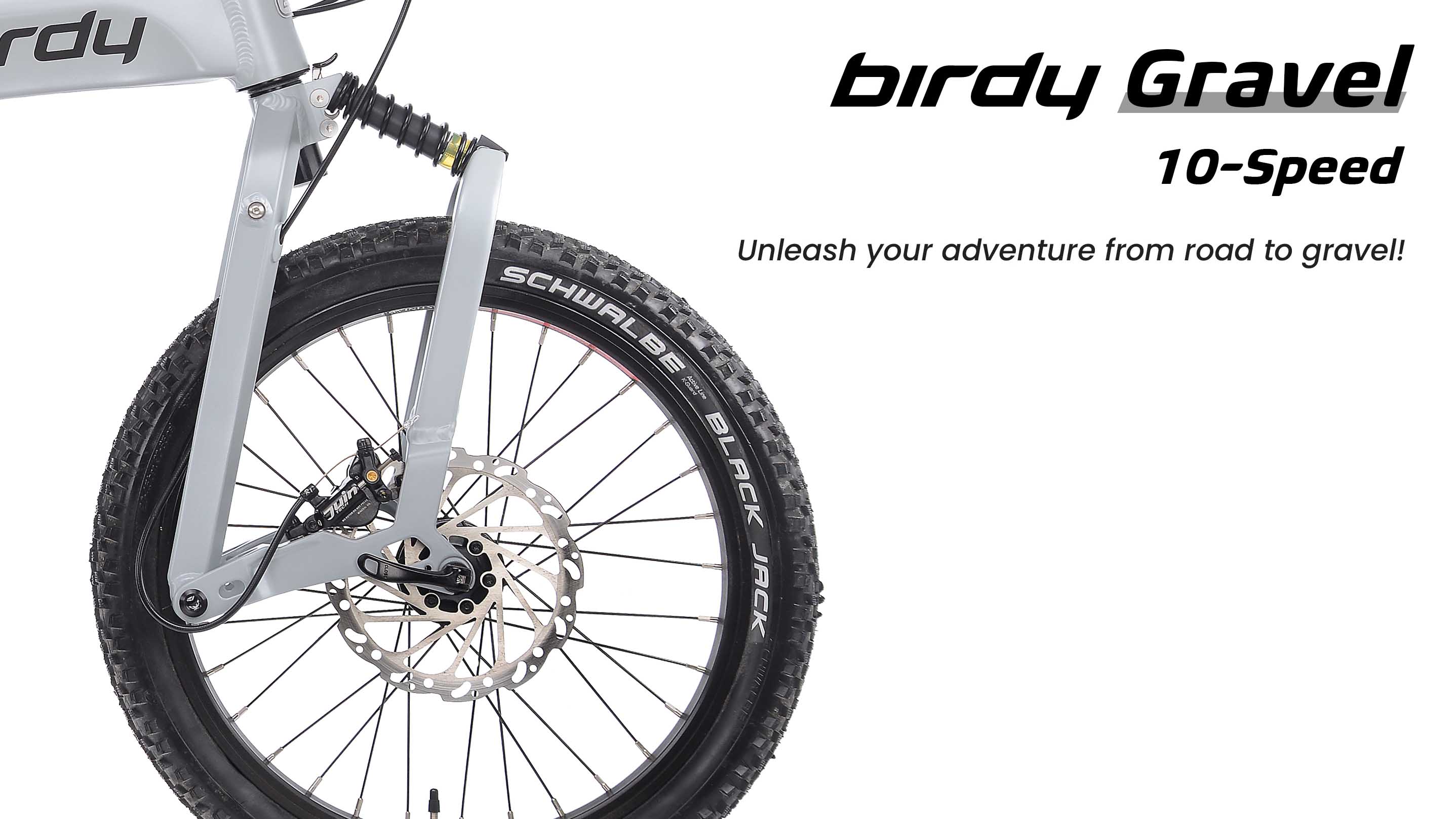 Birdy New Classic Foldable Bike (8 speeds)