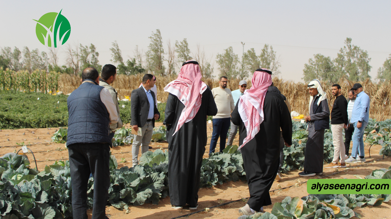 Alyaseen Agricultural Company's Annual Field Day 2026