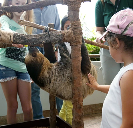 Children interacting with a sloth during an educational wildlife encounter in Dubai – a fun and hands-on learning activity perfect for school trips.