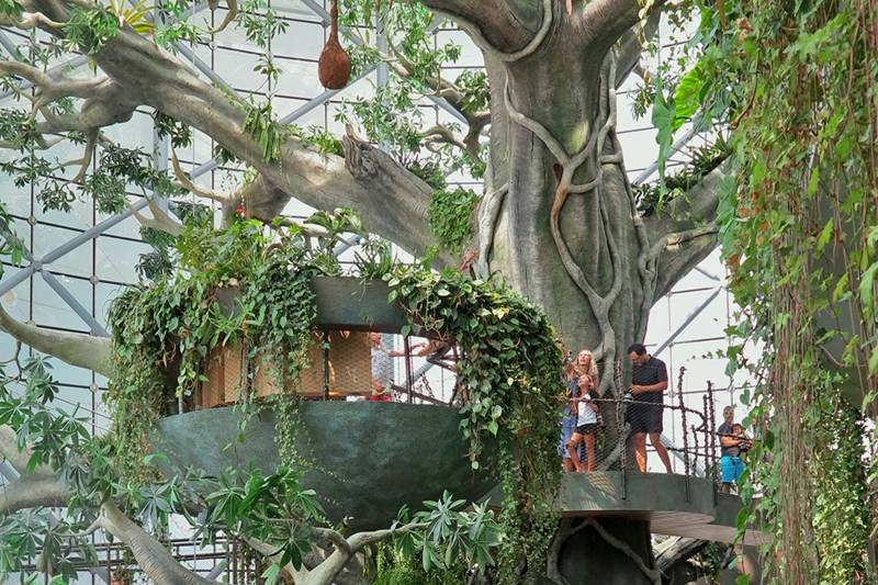 Family exploring indoor rainforest treehouse at Green Planet Dubai — tropical biodome experience.