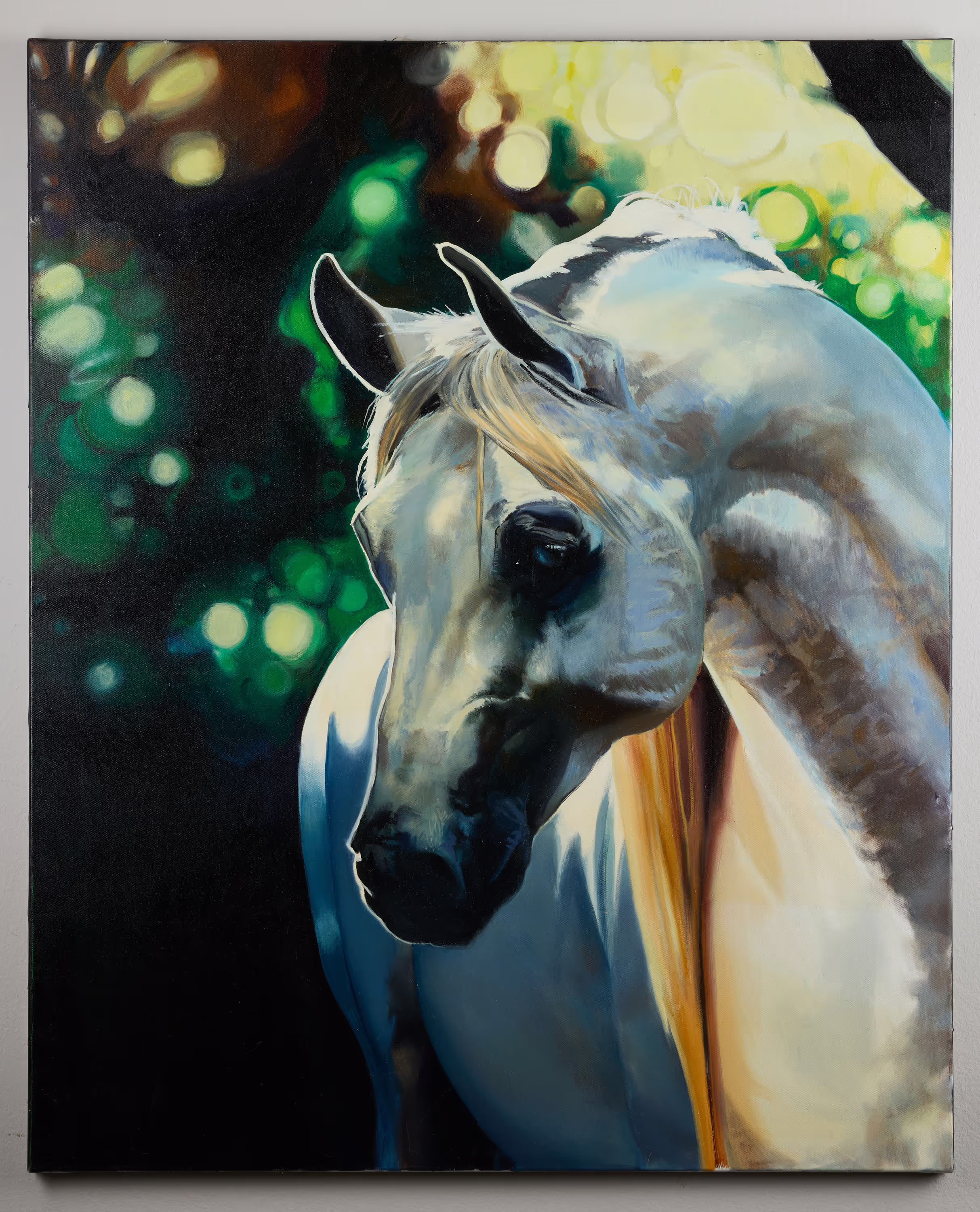 Weißes Pferd - Schimmel - Galerie Gronert