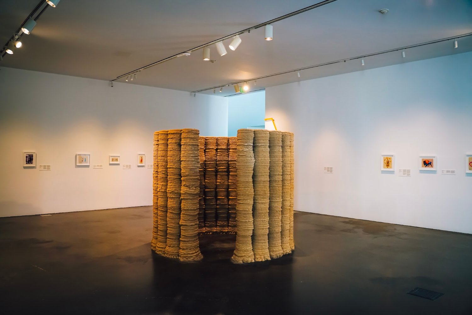 Installation view of Colorado Currents at MCA Denver, with ledger works on the far wall