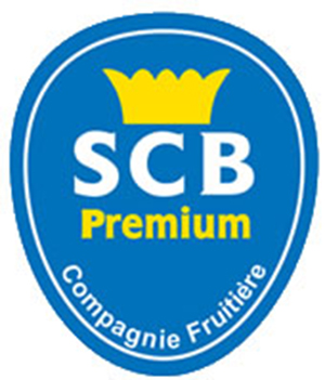 Logo SCB