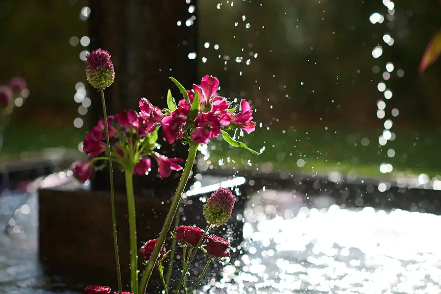 Hochzeitslocation «Event Schloss Reichenau»