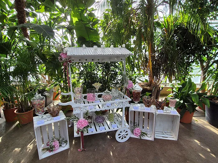 Hochzeitsdekoration aus Bülach