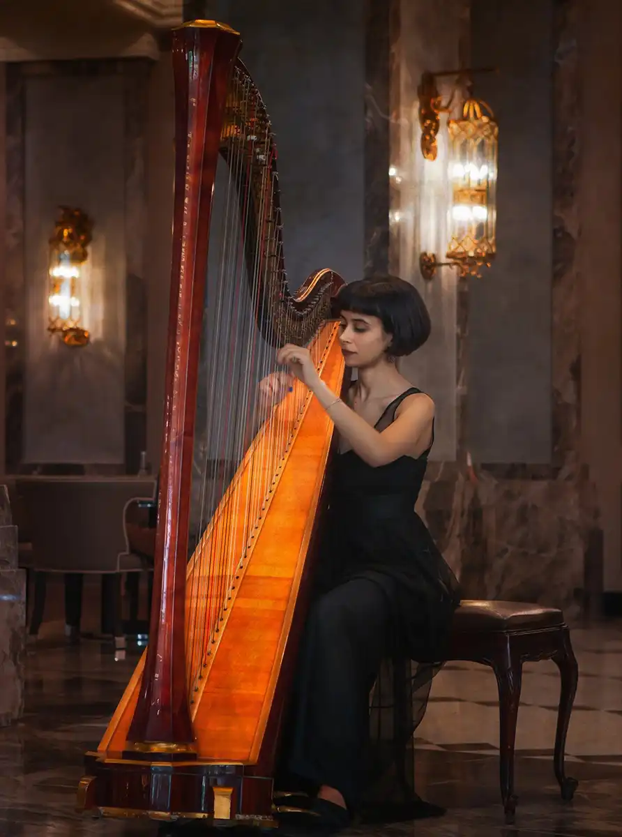 Wedding Voice | Sänger für eure Hochzeit