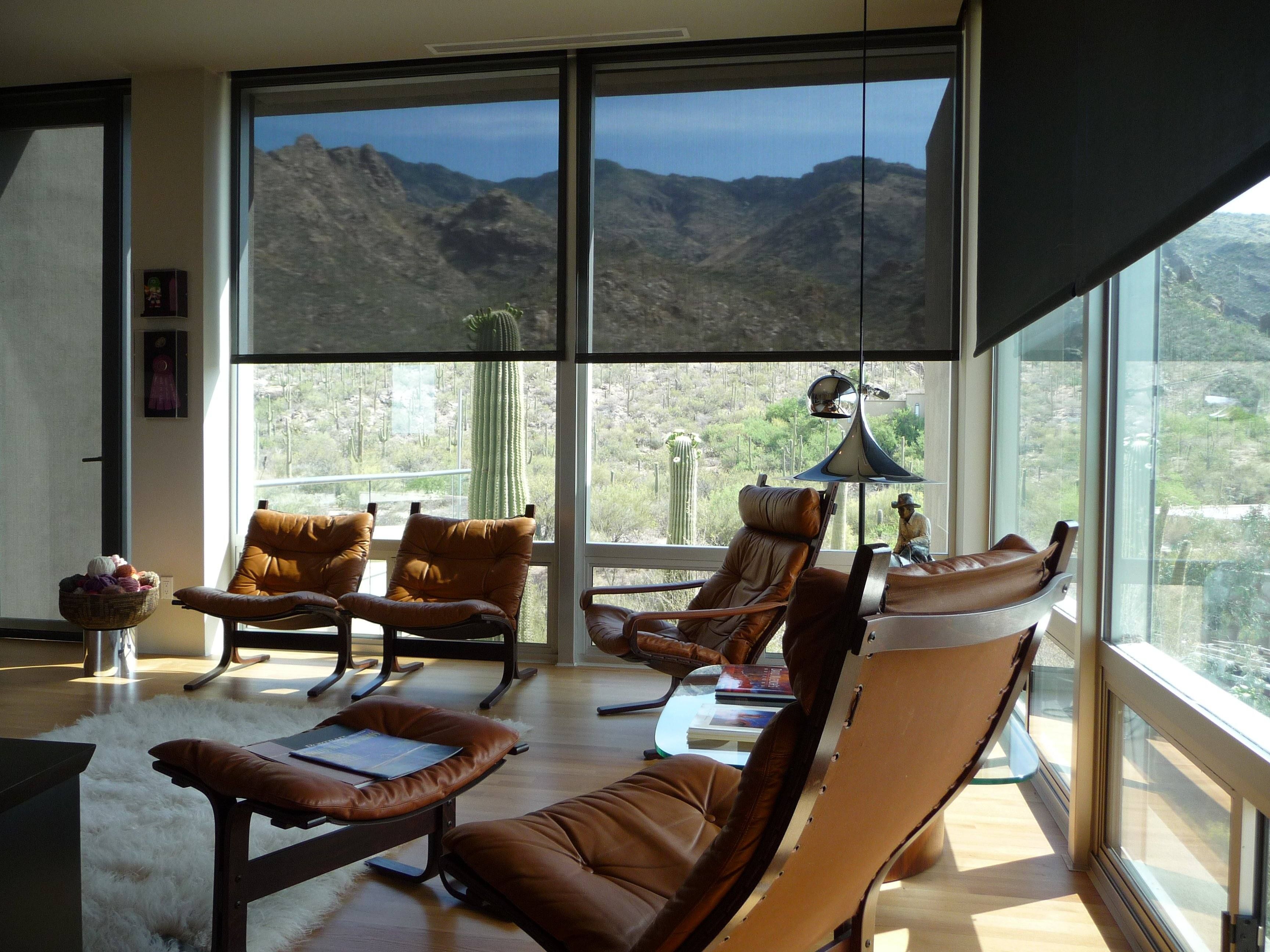 Desert view through window screens in modern Phoenix living room.