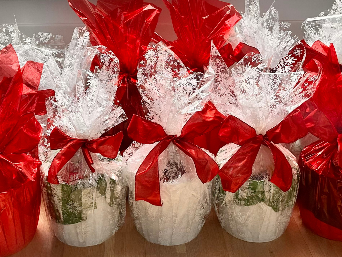 Bucket Season is Officially Underway