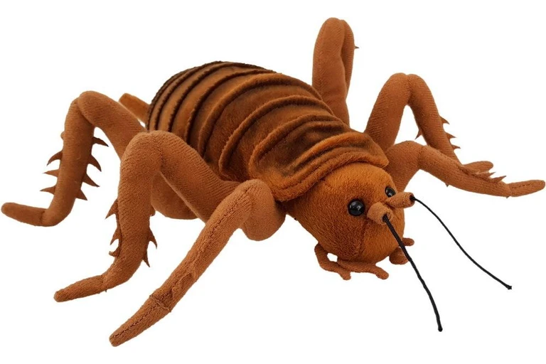 Giant Weta
