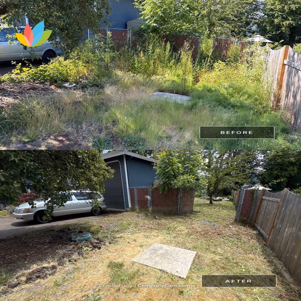 Full yard cleanup with landscape clearing, debris removal, and restored garden beds