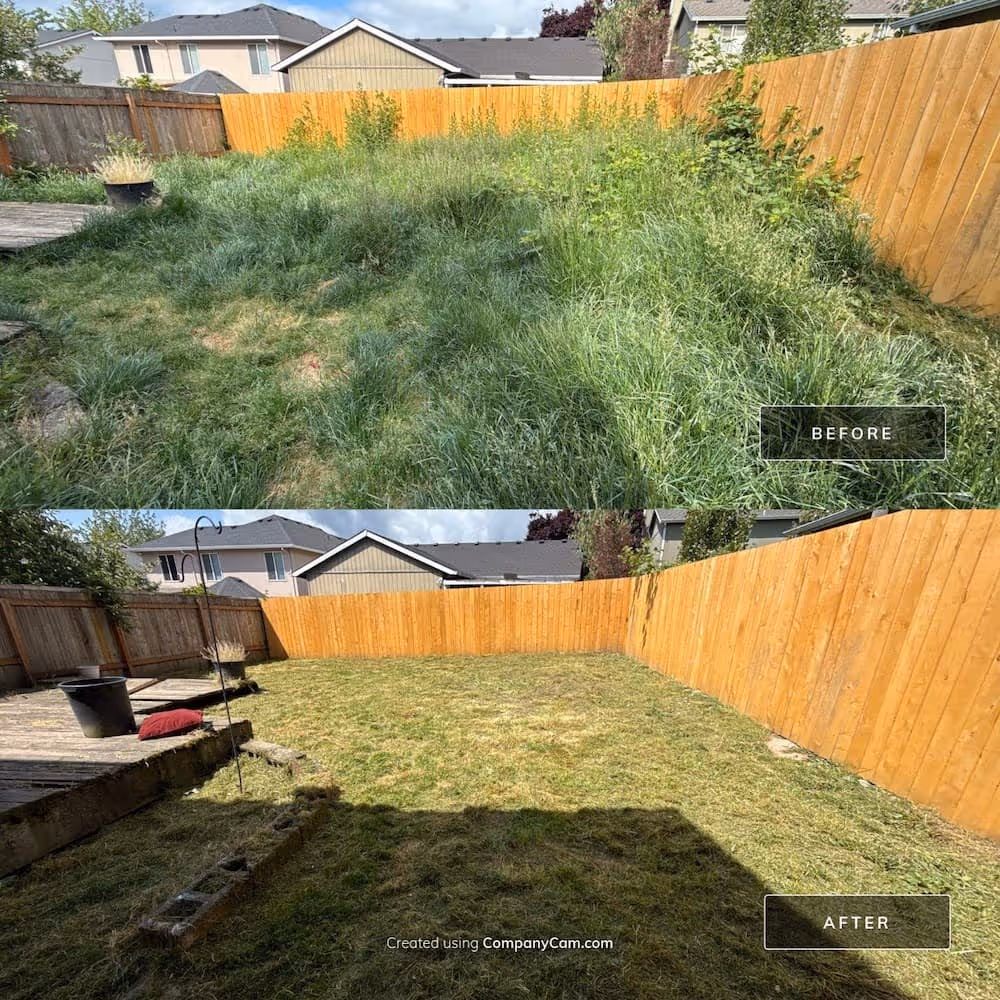Overgrown backyard transformed through full landscape cleanup and freshly mowed lawn